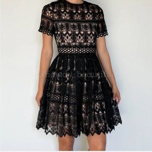 Alexis Black Lace Lula Mini Dress